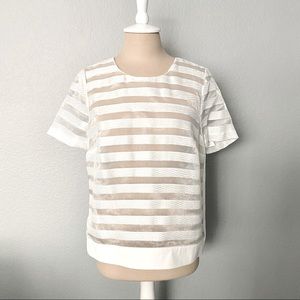 1.State Ivory Sheer Striped ShortSleeve Top Medium